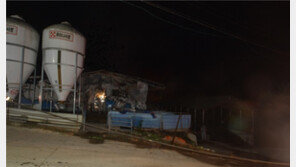 천안 돈사서 화재…돼지 800마리 죽어