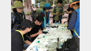 성남 남한산성 일대서 ‘산닥나무’ 군락지 발견…﻿경기 내륙 발견 이례적