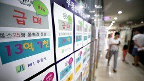 6세 부동산임대업자 연 3억8850만원·0세 월 140만원 벌어