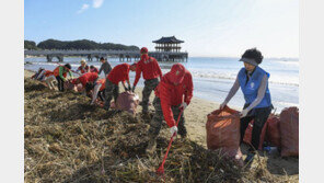 軍, 태풍 ‘콩레이’ 피해 복구 지원 위해 3254명 투입