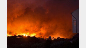 포르투갈 ‘악몽의 산불’ 또?…리스본 인근 수백명 대피