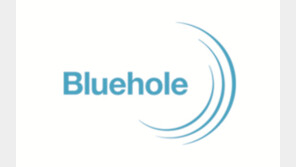 4차 산업 선봉장 장병규 의장, "국감에 왜 두 번 소환되나?"