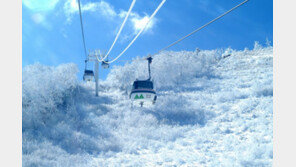 부영그룹, 무주덕유산리조트 스키강사·패트롤 모집