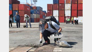 붉은불개미, 방제작업 효과 의문…전문가 “없애도 계속 들어올 수밖에”