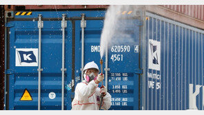 안산 물류창고서 ‘붉은불개미’ 1000여마리 발견