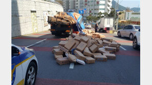 굽은 도로 주행하던 트럭 적재함서 냉동새우 박스 쏟아져