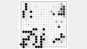 [바둑]알파고 vs 알파고 특선보… 이른 승부수
