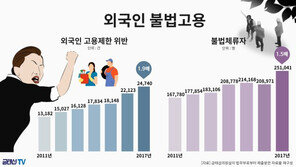 지난해 외국인 불법고용 2.4만건…6년간 2배 ↑