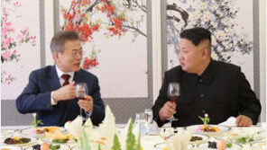 文대통령, 내주 교황만나 ‘평양 초청’ 김정은 뜻 전한다