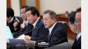 文대통령-李총리, 국무회의서 “가짜뉴스 대책 미흡” 지적