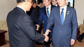 최선희 이어 北리룡남 내각부총리도 방중…北中 밀착 강화