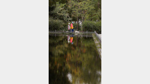 [날씨]10일부터 찬바람에 기온 ‘뚝’…서울 낮 최고 16도