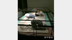 “우르르 쾅!”… 강진에 블랙아웃, 어둠속 베개 급히 찾아 머리 감싸