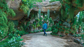 축구장 70개 넓이… 공원형 서울식물원 11일 임시 개방