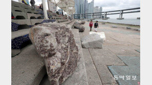 바닷속 바위를 육지로 밀어올린 ‘태풍의 힘’