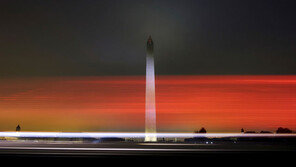 [고양이 눈]잔상