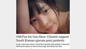 中 누리꾼들 구하라 응원, 혜화역 집회도 관심