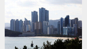 부동산 전문가 46% “내년에도 서울 집값 계속 오를 것” 전망