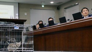 [국감현장] 김진태 “퓨마 불쌍하다”…홍남기 “인근 주민 위험했다”