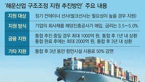 [단독]해운 구조조정 나서는 정부 “통합업체에 최대 3000억 지원”