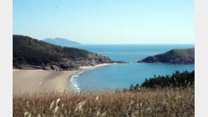 “옹진군 섬에서 가을의 정취를 느껴보세요”