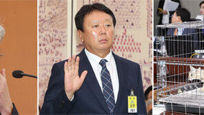 강경화, 선동열, 벵골 고양이… 국감 첫날 논란의 세 주인공