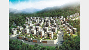 내구성-안전성 갖춘 ‘스틸하우스’