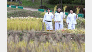 [날씨] 평년보다 부쩍 낮은 기온에 찬바람 쌩쌩…서울 아침 6도