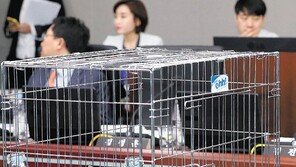 퓨마도 아닌데… 국회 끌려온 벵골고양이