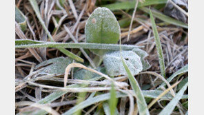 [날씨] 올가을 들어 가장 쌀쌀…설악산 영하 4.1도
