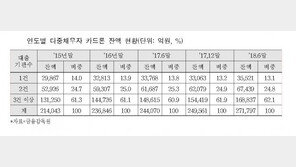 카드론 1년새 24조4000억 증가…3건 중 2건은 ‘다중채무’