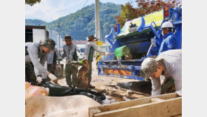 태풍 ‘콩레이’ 경북 피해지역 응급복구 92% 완료