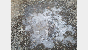 설악산서 올 가을 첫 얼음 관측…최저기온 영하 3도