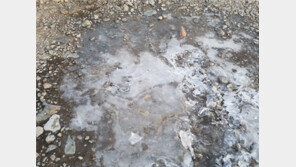 설악산서 올 가을 첫 얼음 관측…“내일까지 11월 초순 날씨”