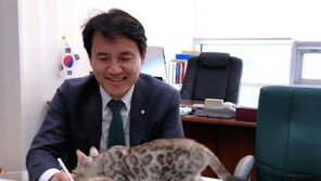 [2018 국감] 김진태 “국감장 데려간 벵갈 고양이, 잘 지내니 걱정 마셔요”