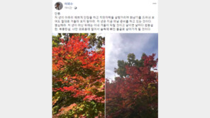 이외수 “단풍, 저 X이 화냥기를 드러내도…” 女비하 논란에 “표현력 부족”