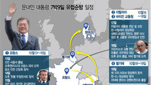 文대통령 유럽순방서 BTS 만난다…‘한반도 평화’ 미사도 참석