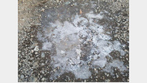 설악산에 올 가을 첫 얼음 …기상청 “내일·모레, 오늘보다 1~2℃ 더 낮아”