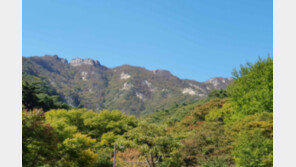 계룡산 올해 단풍 시작…“평년보다 6일 빨라”