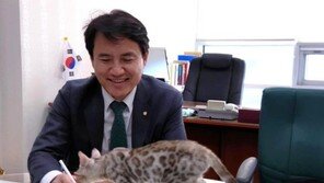 김진태, 벵골 고양이 근황 공개…동물단체 “문제의 본질 읽지 못했다” 비판