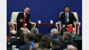 WSJ “백악관, 11월 G20서 트럼프·시진핑 회담 추진”