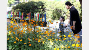 [날씨] 12일도 전국 초겨울 같은 가을…서울 아침 6도