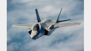 美국방부, 첫 추락 F-35 스텔스 전투기 비행 일시 전면 정지