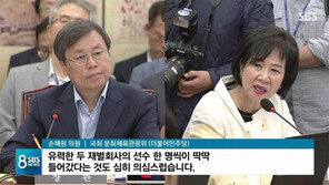 손혜원 “유력 두 재벌 회사 선수”에 야구팬 ‘실소’ …“야구 몰라도 너무 몰라”