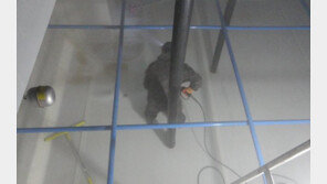 대북제재 완화 두고…美는 南에 경고, 北은 중러에 손짓