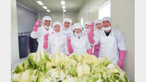 건강한 절임배추 생산으로 간편한 김장 문화 앞장