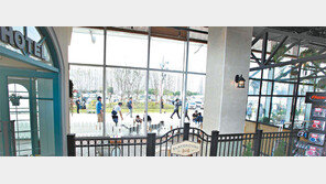 홍삼 사료에 맞춤 인테리어까지… 이젠 ‘펫미’ 시대