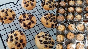 ‘단속 사각지대’ SNS 먹거리 판매…‘제2의 미미쿠키’ 나온다