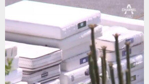 “라돈 대진침대 배상액, 많아야 18만원…현금 자산 바닥”