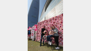 “가을햇살과 핑크빛으로 물든 롯데타워”